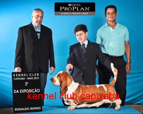 Clique sobre a foto para fechar